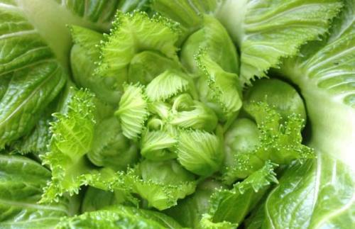 pg国际008国际官网