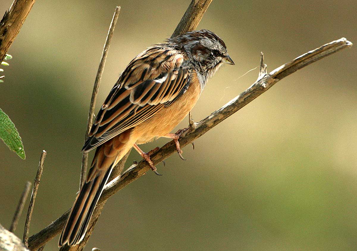 008pg国际版官网入口